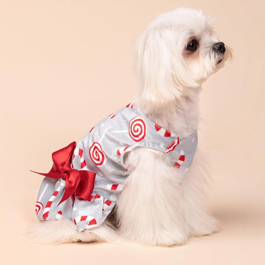 Christmas Candy Canes Dog Dress, Cute Dog Christmas Outfit, Doggy Clothes for Small Dogs Girl, Pet Apparel, Silver, Red, White, Medium